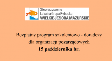 program szkoleniowo-doradczy dla ngo