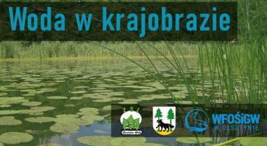 Jezioro, konkurs, ogłoszenie